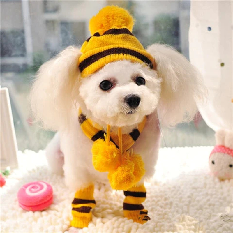 Winter Pet Puppy Accessories for Dogs Knitted Striped Hats Scarf Socks Little Small Big Animals Yorkshire Chihuahua Cat Products