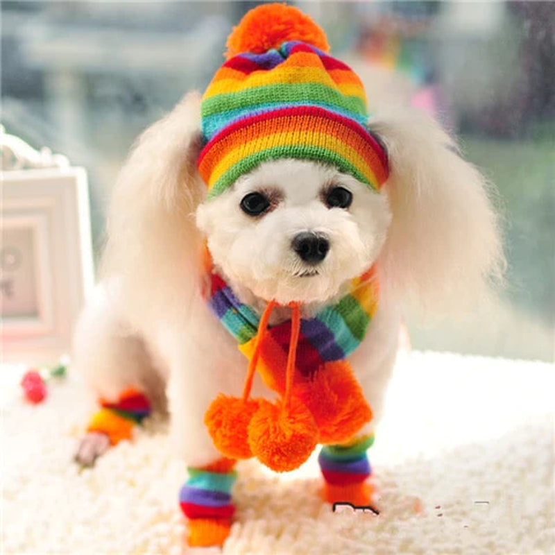 Winter Pet Puppy Accessories for Dogs Knitted Striped Hats Scarf Socks Little Small Big Animals Yorkshire Chihuahua Cat Products