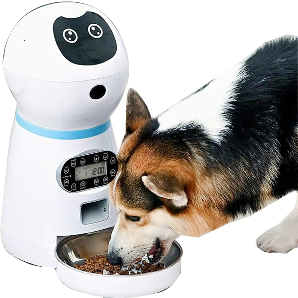 Automatic pet feeder dog cat programmable animal food bowl timed auto dispenser best sale