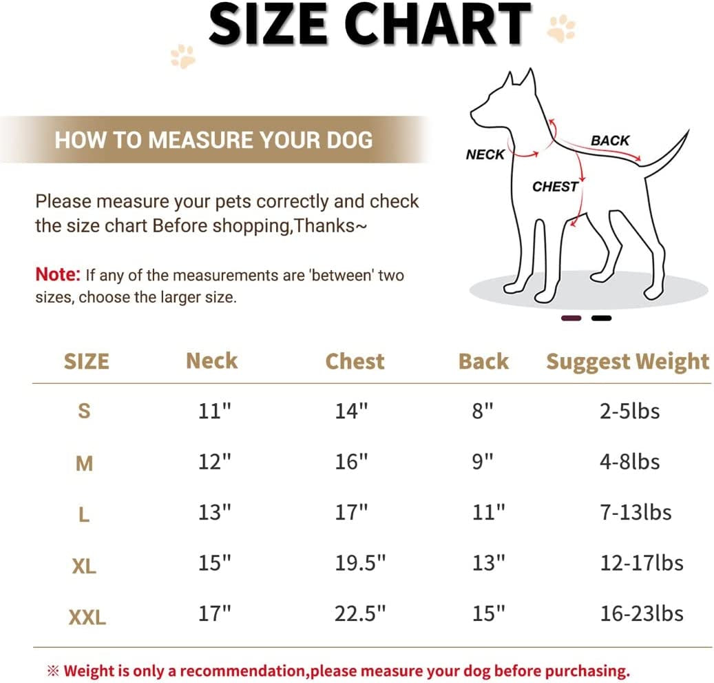 Warm Dog Jacket Winter Dog Coats Windproof Waterproof Fleece Lined Dog Leather Jackets for Small Dogs Puppy, Black Small